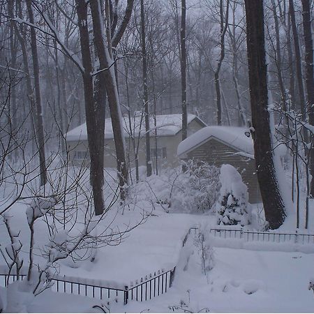 Bear House Bed And Breakfast Dover Exterior photo